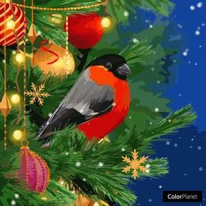 Meet your Posher, Dolores